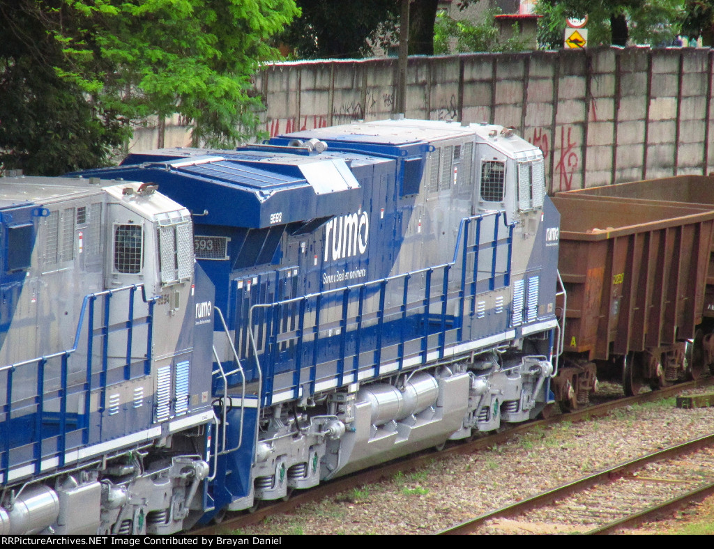 RUMO 9593